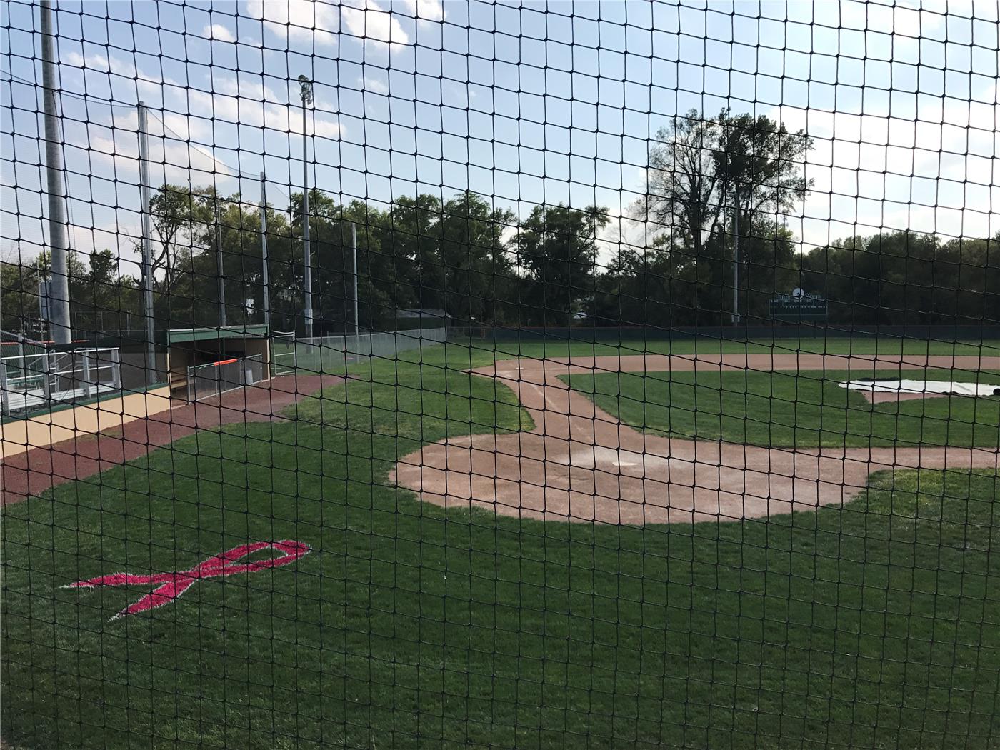 Pink Ribbon Stencil Painted Baseball Field