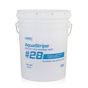 AquaStripe Paint