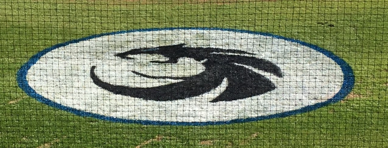 Baseball Field Logo Stencils  | Softball Field Stencils