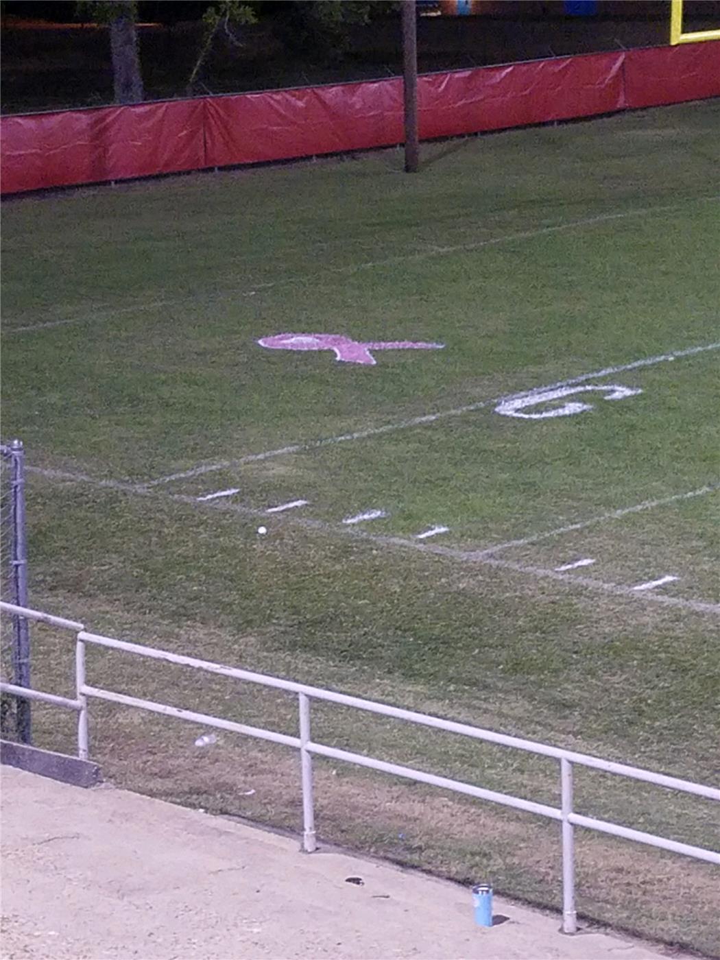Breast Cancer Awareness Ribbon Stencil Painted in End Zone